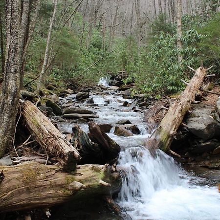 Gorgeous Large Mountain View Cabin W Hot Tub, Free Wifi, Games Βίλα Sevierville Εξωτερικό φωτογραφία
