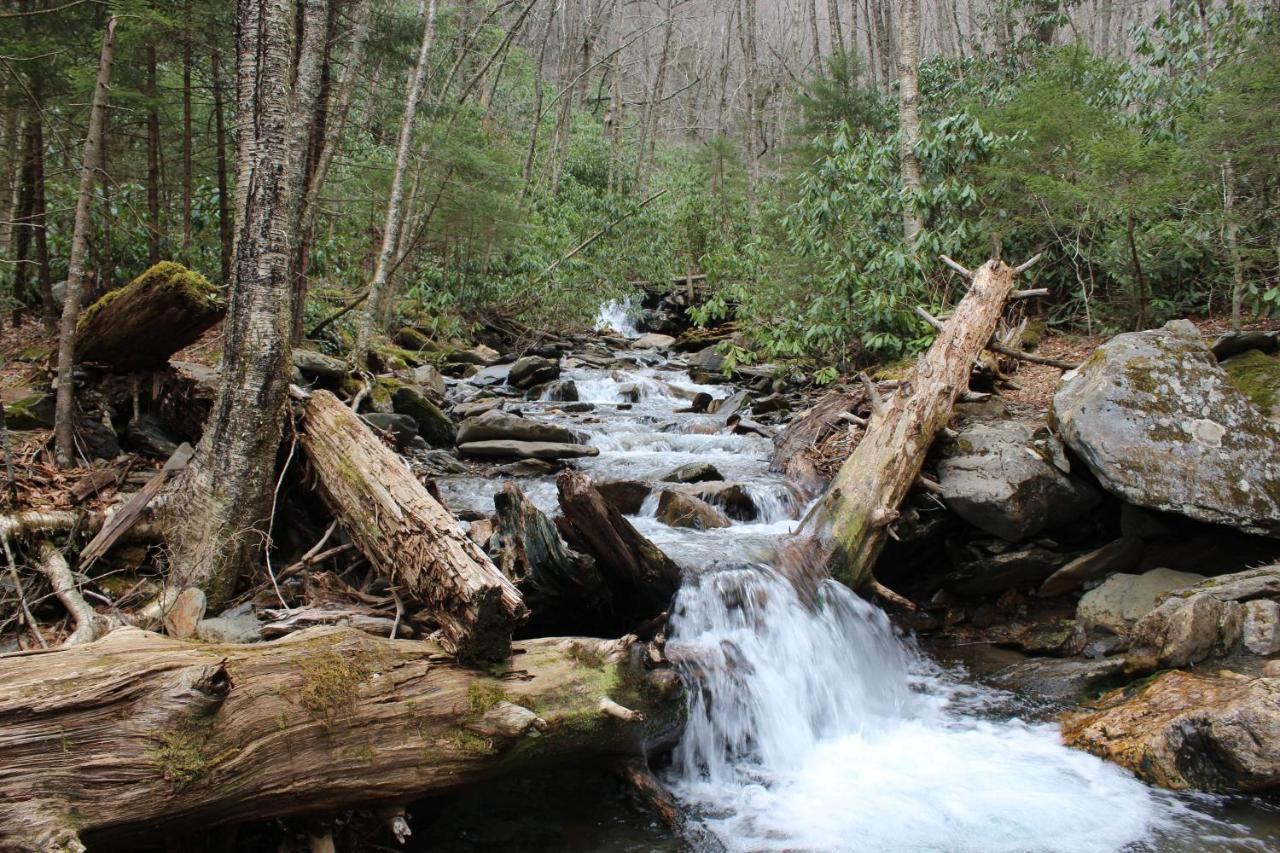 Gorgeous Large Mountain View Cabin W Hot Tub, Free Wifi, Games Βίλα Sevierville Εξωτερικό φωτογραφία