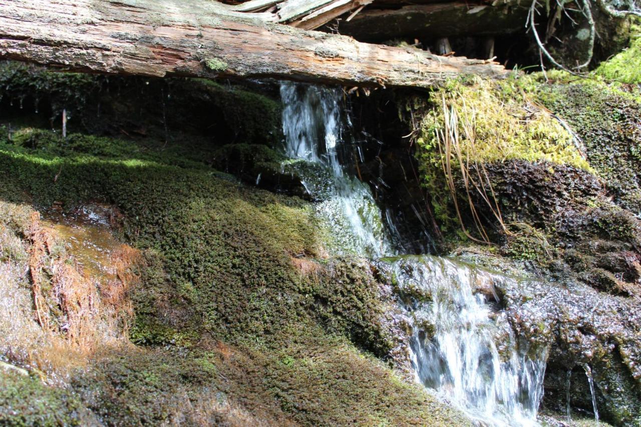 Gorgeous Large Mountain View Cabin W Hot Tub, Free Wifi, Games Βίλα Sevierville Εξωτερικό φωτογραφία
